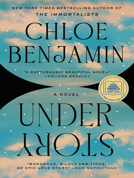 Cover image for Under Story